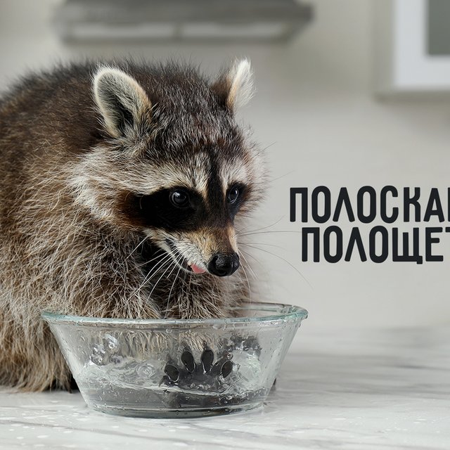 «Полоскает» или «полощет»? 10 хитрых глаголов, которые можно употреблять в двух вариантах