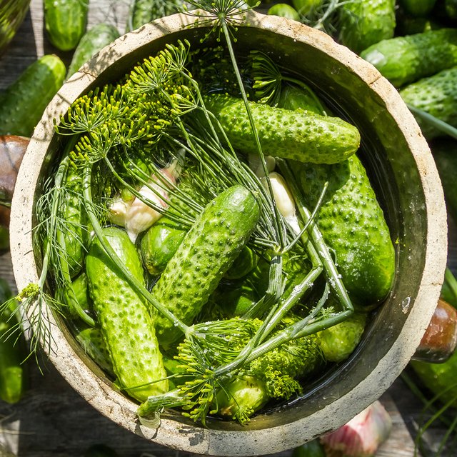 Малосольные огурцы за полчаса: секретный рецепт любимой бабушки