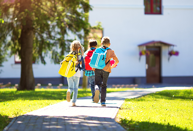 Четверти, триместры, модули, биместры: в чём отличия и какая форма обучения в школе лучше