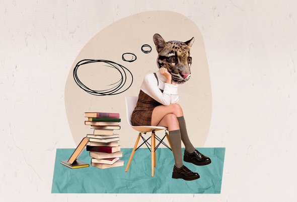 история репетитора и ее ученицы, ВПР, выгорание