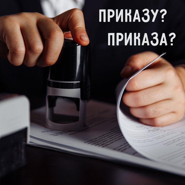 «Согласно приказу» или «согласно приказа»: как писать правильно