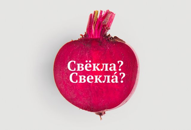 «СвеклА» или «свЁкла»: как говорить правильно