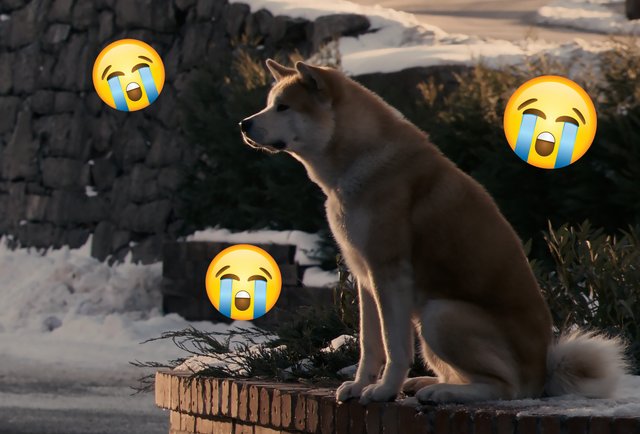 Вы рыдали над «Хатико»? Тест: может ли фильм или мультик заставить вас плакать