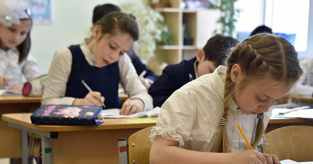 Фото ученика 3 класса Результаты ВПР опубликуют на месяц позже Мел