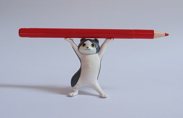 «Всё быстро написать и побежать в лето»: недушная инструкция, как получить за сочинение на ЕГЭ максимум баллов