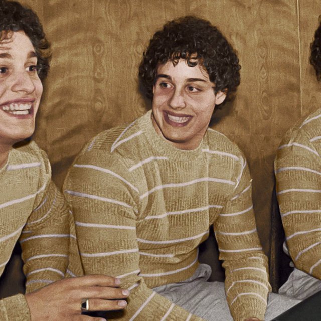 Троих близнецов разлучили в детстве: они встретились через 19 лет и узнали, что это был эксперимент психологов