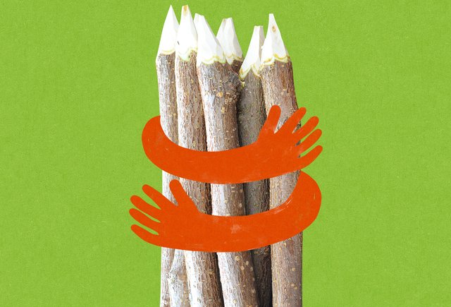 «Осиновые колья» или «осиновые колы»: как говорить правильно