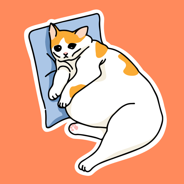 Сыну 16 лет, он ничего не хочет, просто выбрасывает свою жизнь в окно: не знаю, что с этим делать