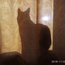 Фото пользователя