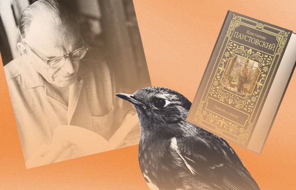 На коллаже изображен Паустовский