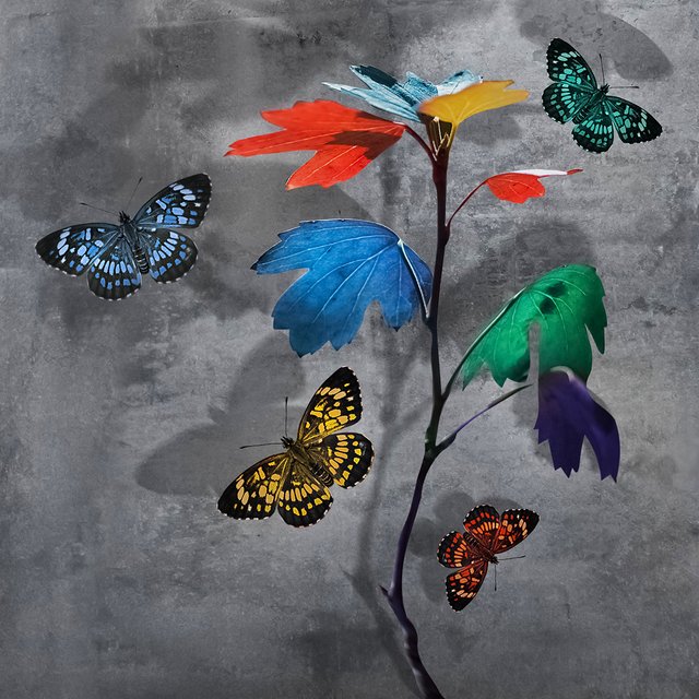 Ребенку диагностировали РАС. Что будет дальше? 8 вопросов детскому психиатру