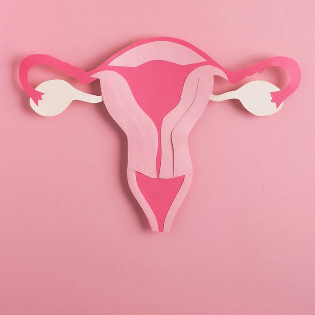 Загиб матки: влияет ли это на возможность зачатия