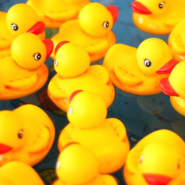 28 000 игрушек смыло за борт: как утки для ванной уже 30 лет плавают по океану и помогают учёным