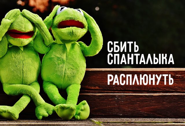 «Скрипя сердцем» и ещё 10 фразеологизмов, которые мы произносим неправильно