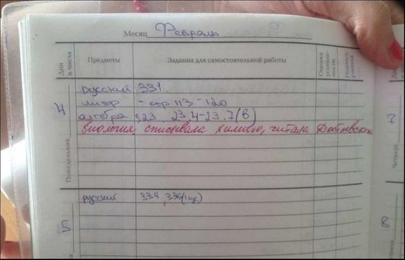 «Ребёнку поставили тройку в квадрате — это что?» Как правильно читать электронный дневник школьника