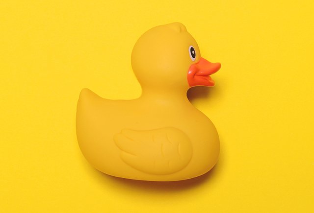 «Взрослые отказывают подрастающим поколениям в праве на мозги»