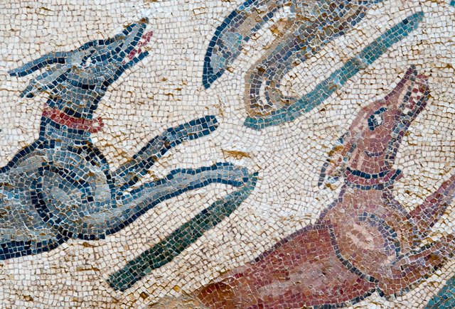 А вы знаете, что «каникулы» — это «собачьи дни»?