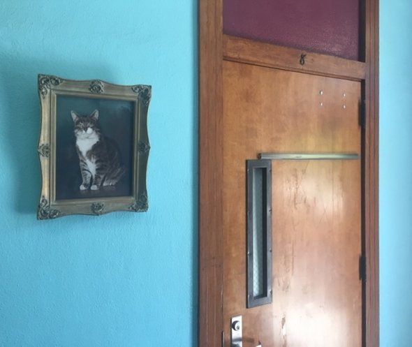 Портрет кота рядом с восьмой комнатой