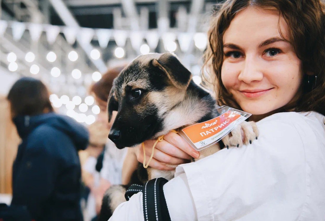 Woof — фестиваль для тех, кто почти смирился с уговорами завести питомца