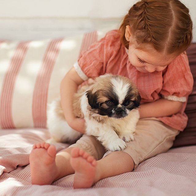 «Мама, хочу собаку». 14 вещей, которые нужно продумать перед тем, как принести домой щенка