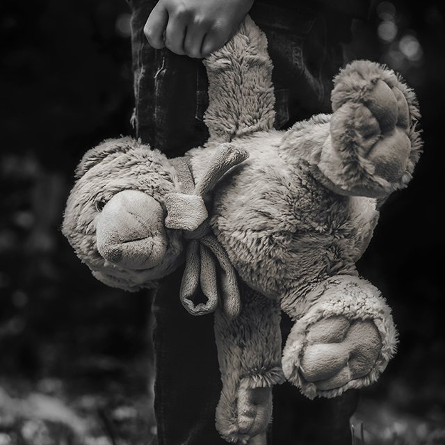 Глава «Лизы Алерт»: «Мы — последний рубеж. Мы вернули ребёнка, но дальше он опять убежит»