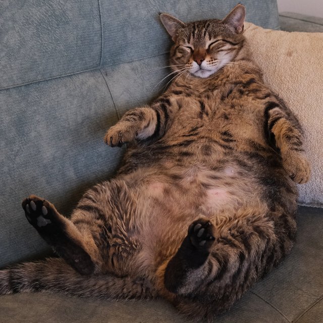 Как избавиться от привычки прокрастинировать?