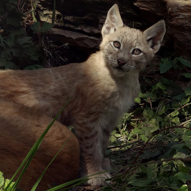 14 идей, как нескучно провести каникулы: от лета осталась ровно половина!