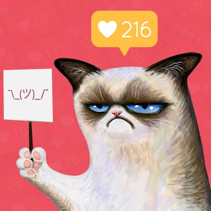 Сторис, мемы и коты: знаете ли вы хоть что-нибудь про работу SMM