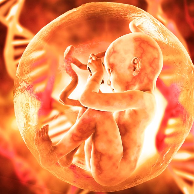 У неё чуть не отобрали детей, потому что ДНК-тест показал родство 0,00%. История женщины-химеры