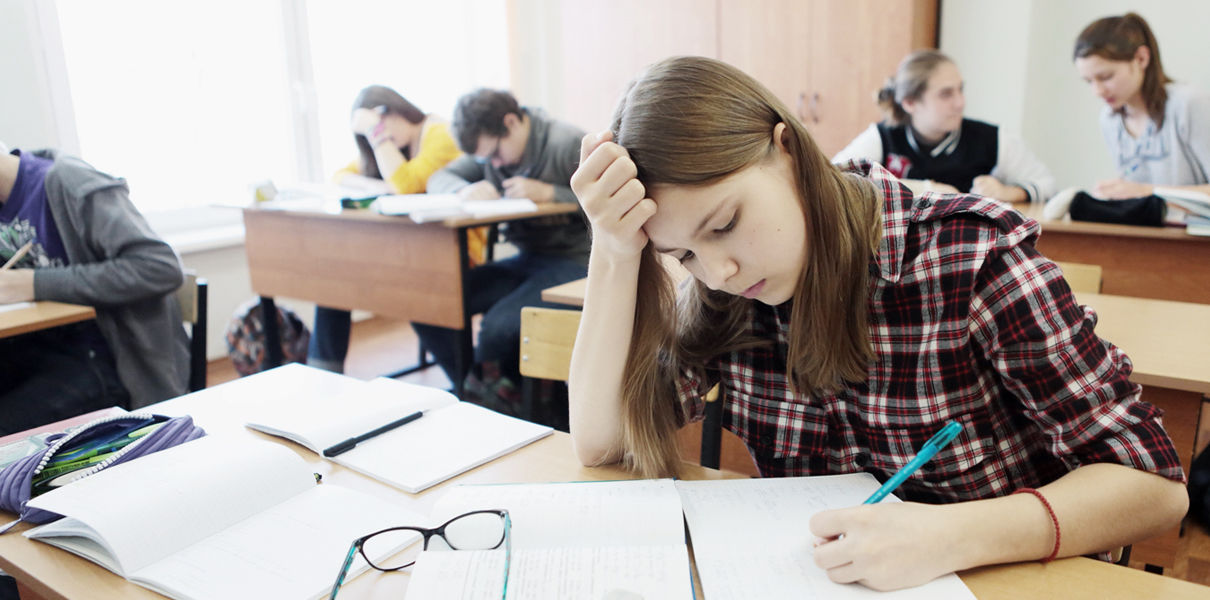 "ЕГЭ, оставь меня в покое!"