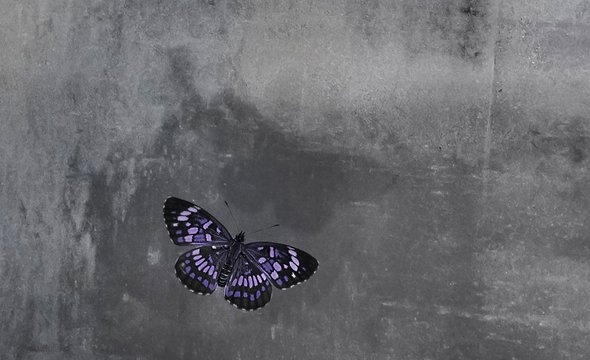 Коллаж бабочка на фоне стены. Аутизм у детей