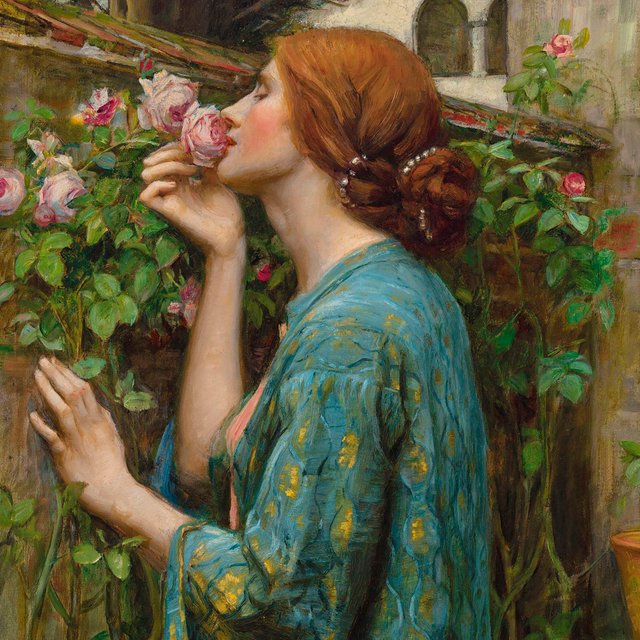 «Цветение», «цветенье» или «цвитение»? Как писать слово правильно