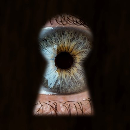 Школа требует данные о жилплощади учеников. Законно ли это?