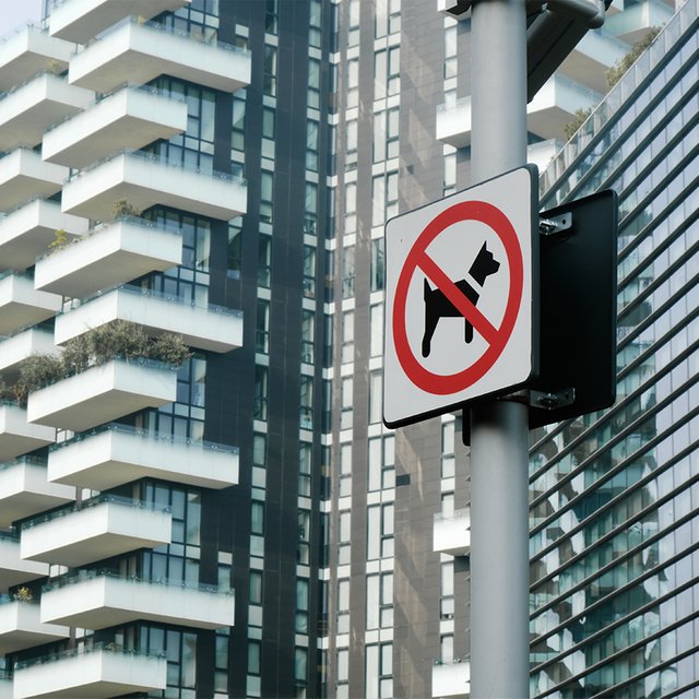 «Человекокафе – для людей. Остальное – ваш выбор». Как в России обсуждают запрет посещения общественных мест с собаками