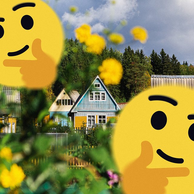 7 самых дачных тестов «Мела» — для тех, у кого лето уже началось