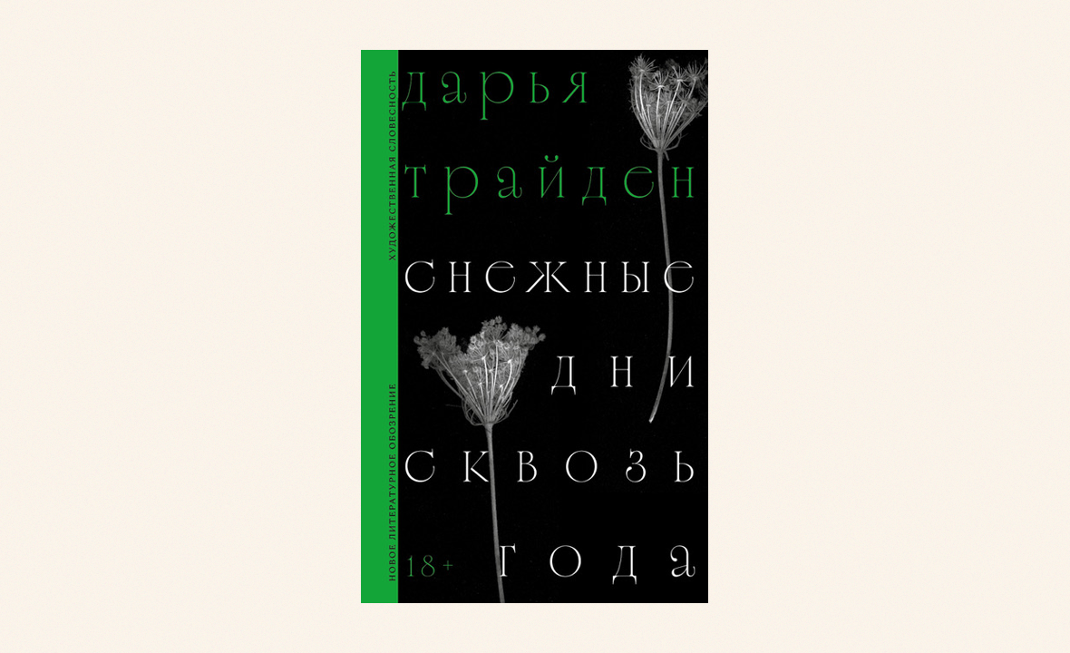 книга Дарьи Трайден «Снежные дни сквозь года»
