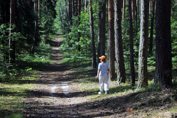 «Материнство несовместимо с офисной работой». Правила воспитания детской писательницы Софьи Ремез