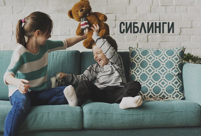 Кто такие «сиблинги»?