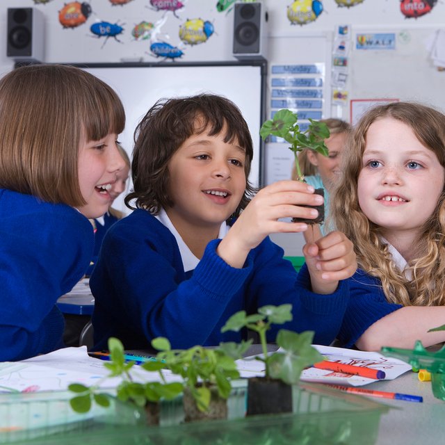 Никто не читает „Тома Сойера“. Начальная школа в США — глазами русской мамы