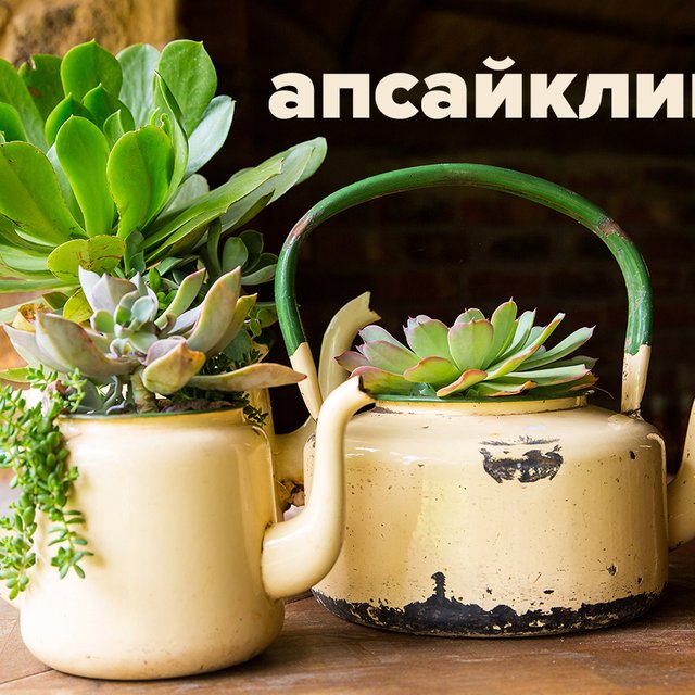 Что такое «апсайклинг»: ищите ответ в приставке