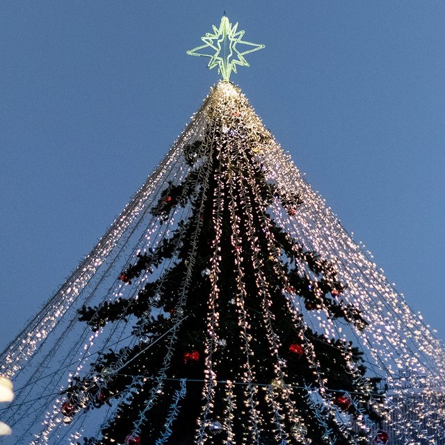 Новогодние подарки — 2025 от соцзащиты, «Госуслуг» и губернаторов: кто и как может получить их в 24 регионах