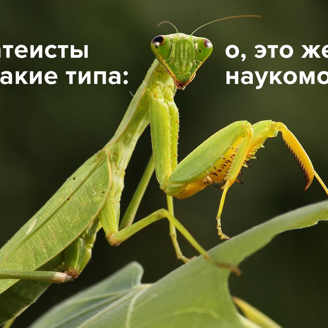 «Атеисты такие типа...». Тест: поймете ли вы мемы, над которыми смеются подростки