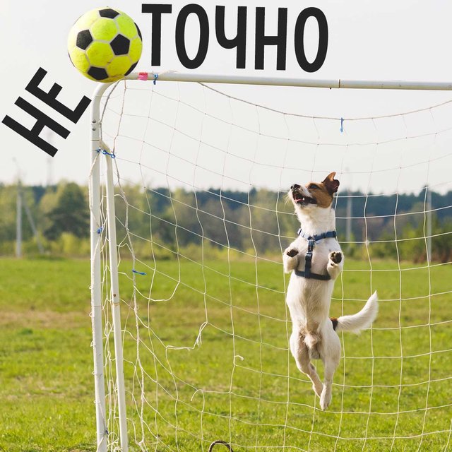 «Это не точно» или «это неточно»: как писать правильно