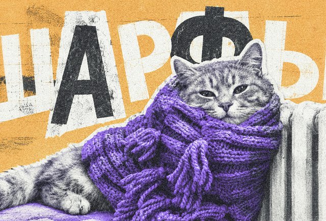 Шарфы́ или ша́рфы? Как говорить правильно