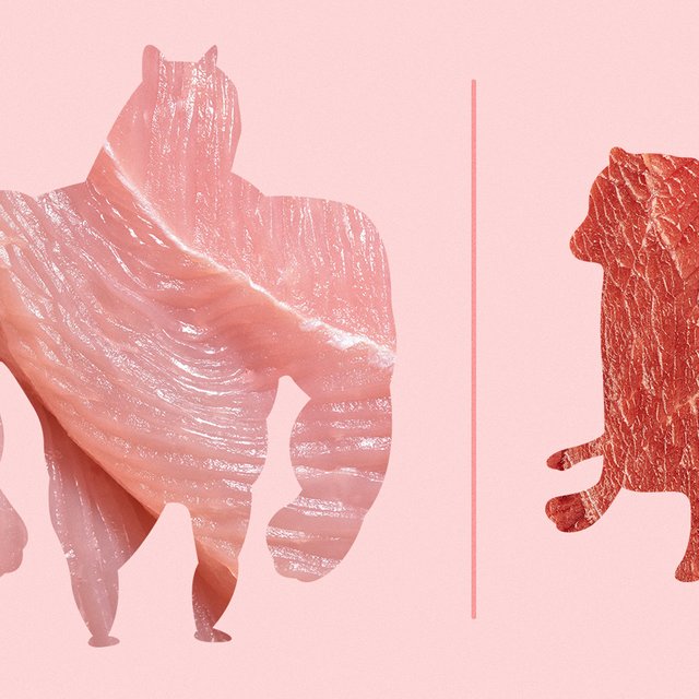 Мясо индейки правда полезнее, чем другие виды мяса?