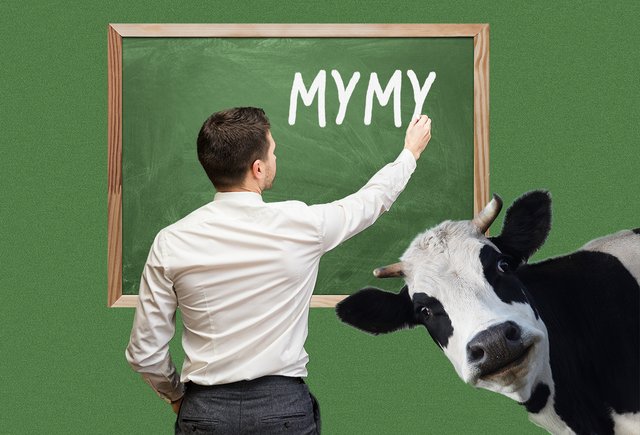 «До 15 лет я пас коров». Как парень из деревни случайно стал учителем — и в этом году отметил 10 лет работы