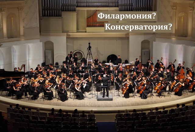 Филармония и консерватория: в чём разница (а она существенная)