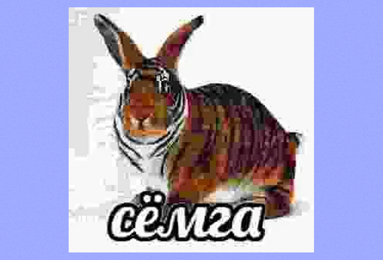 мем семга