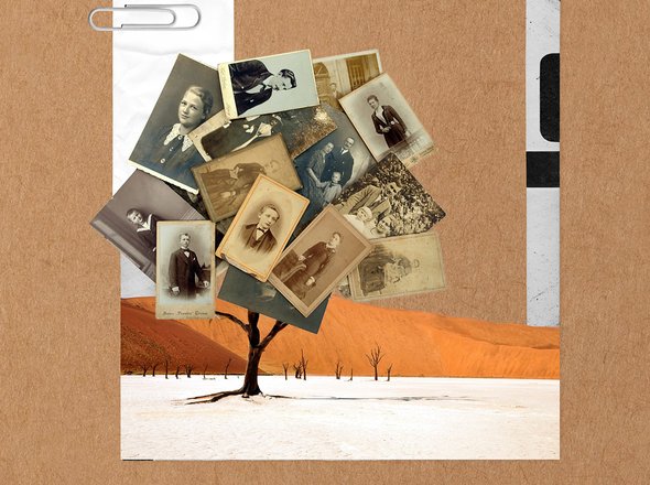 «Люди ищут людей — среди живых и мертвых». Почему генеалогия стала популярной и как устроены поиски родни