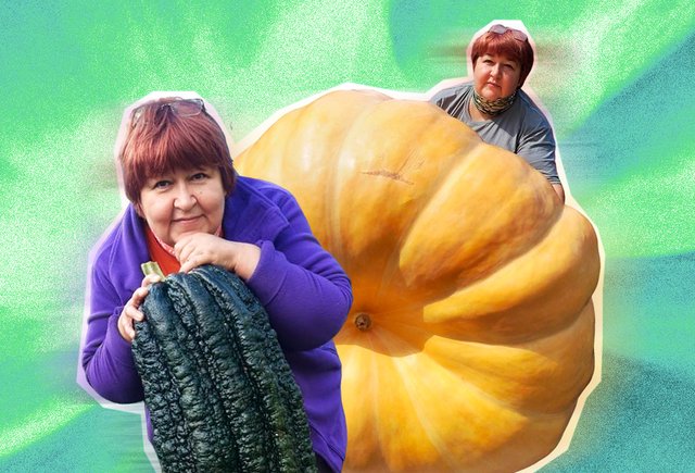 «Я скандалю с овощами». Интервью с дачницей, которая выращивает гиганты — и не может остановиться